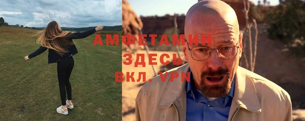 гидра Алексин