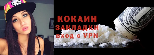 гидра Алексин