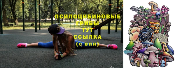 гидра Алексин