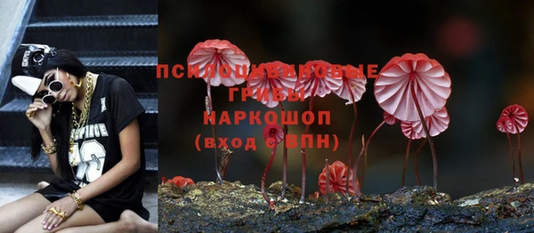 спайс Алзамай
